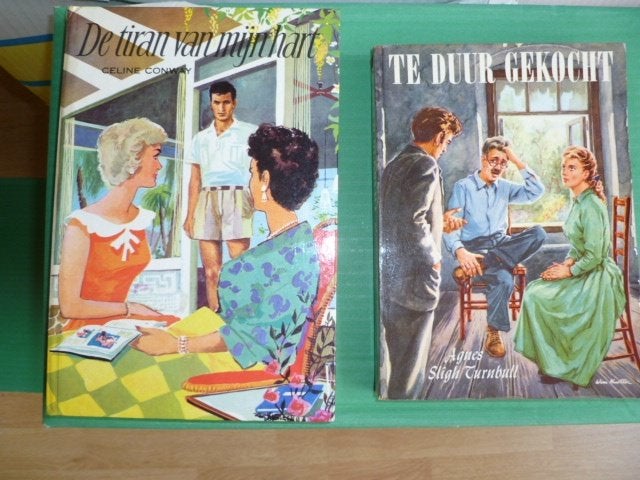 Pakket lees boeken, alle genre's. 15 Euro alles, Boeken, Overige Boeken, Ophalen of Verzenden