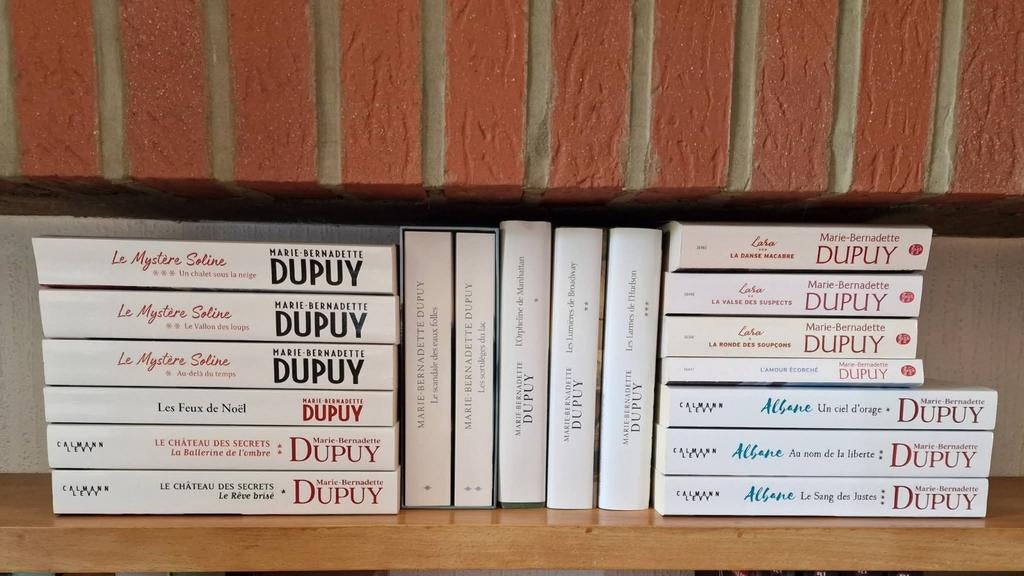 Lot de 18 romans de Marie-Bernadette Dupuy, Enlèvement