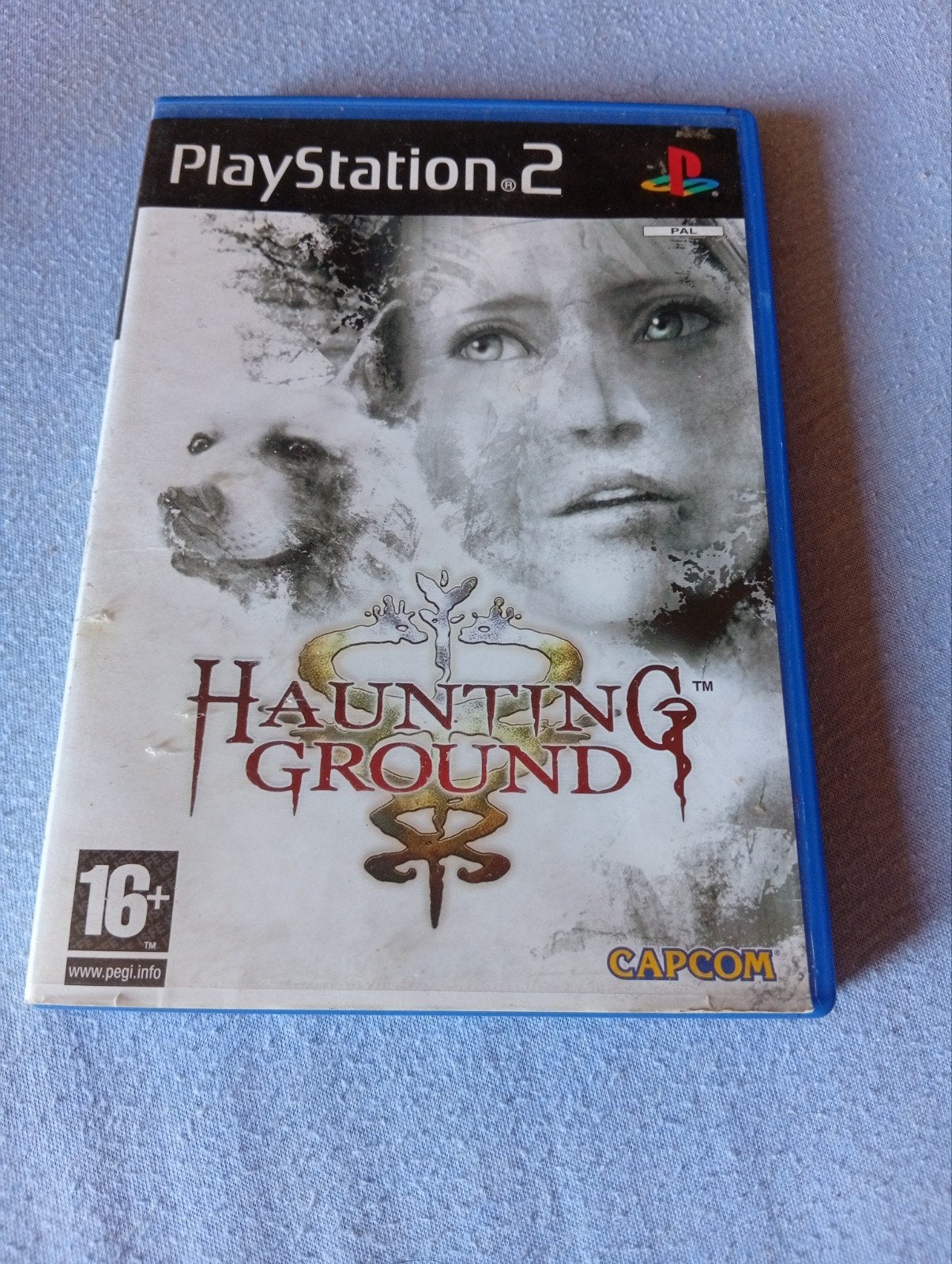 RARE : Jeu ps2 hauting ground, Enlèvement ou Envoi