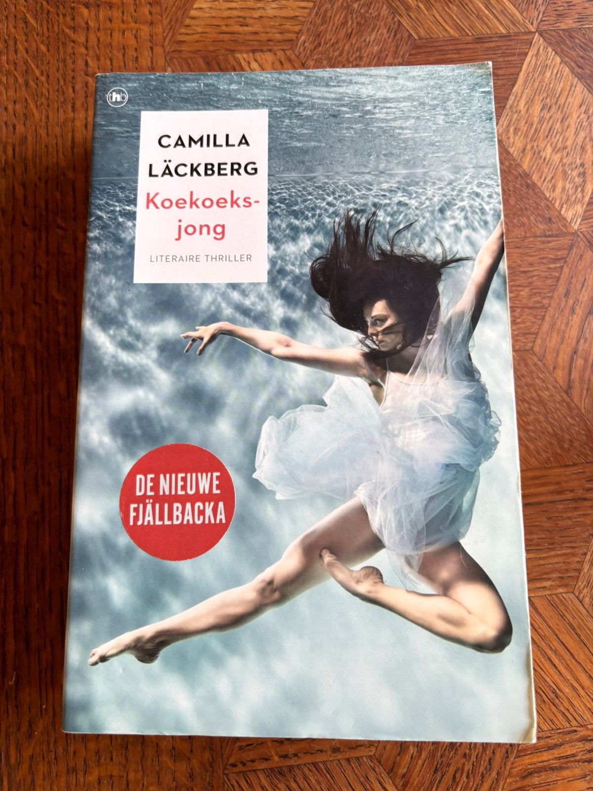 Koekoeksjong - Camilla Läckberg, Boeken, Ophalen, Zo goed als nieuw