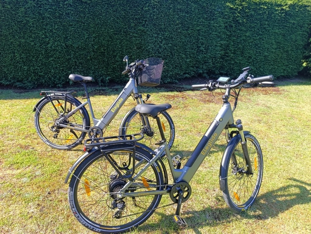 Elegide electrische fiets T2, Ophalen of Verzenden, Zo goed als nieuw, Overige merken