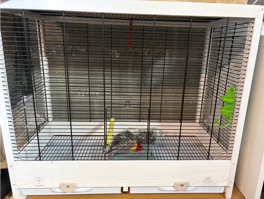 Cage Ferplast en Bois Neuf, Animaux & Accessoires, Oiseaux | Cages & Volières, Enlèvement, Neuf, Bois, Cage à oiseaux