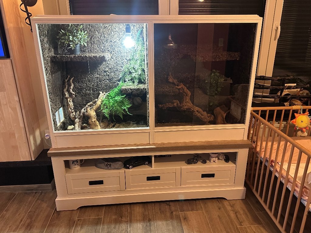 Reptielen (slang), Serpent, Avec terrarium, 0 à 2 ans