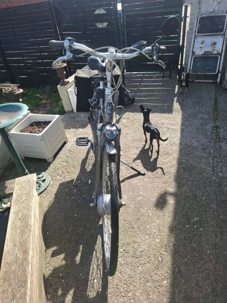 Vélo électrique, Gazelle