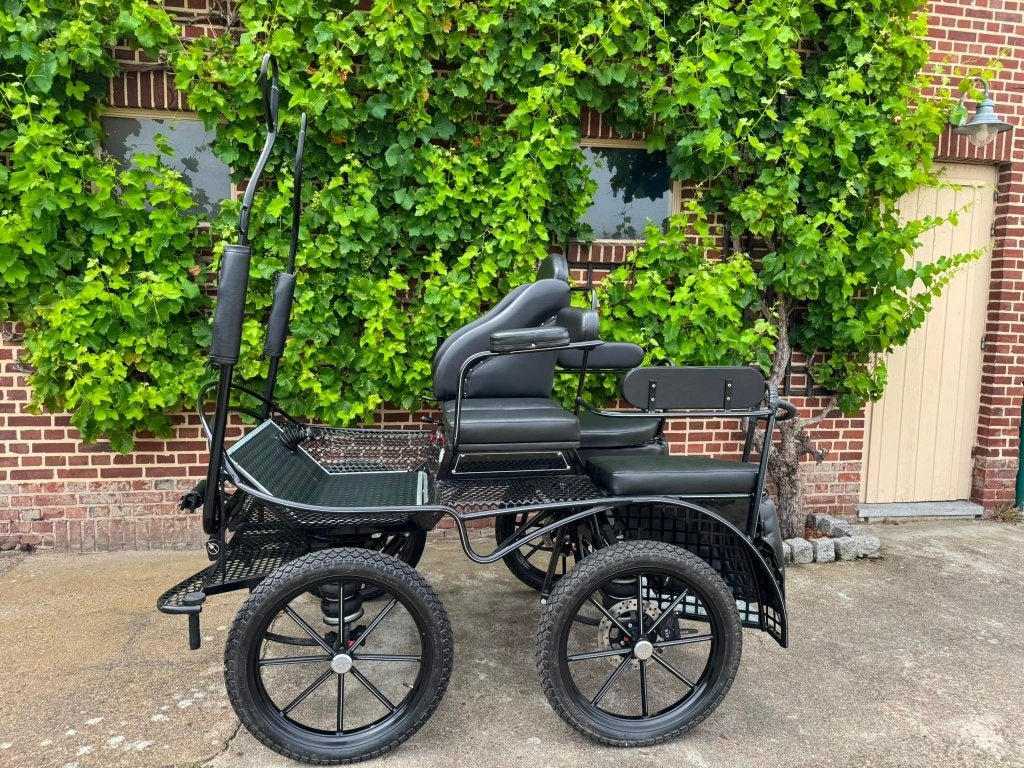 Recreatie marathonwagen met Lederen Ideal tuig, Zo goed als nieuw, Marathonwagen, Pony, Gesloten
