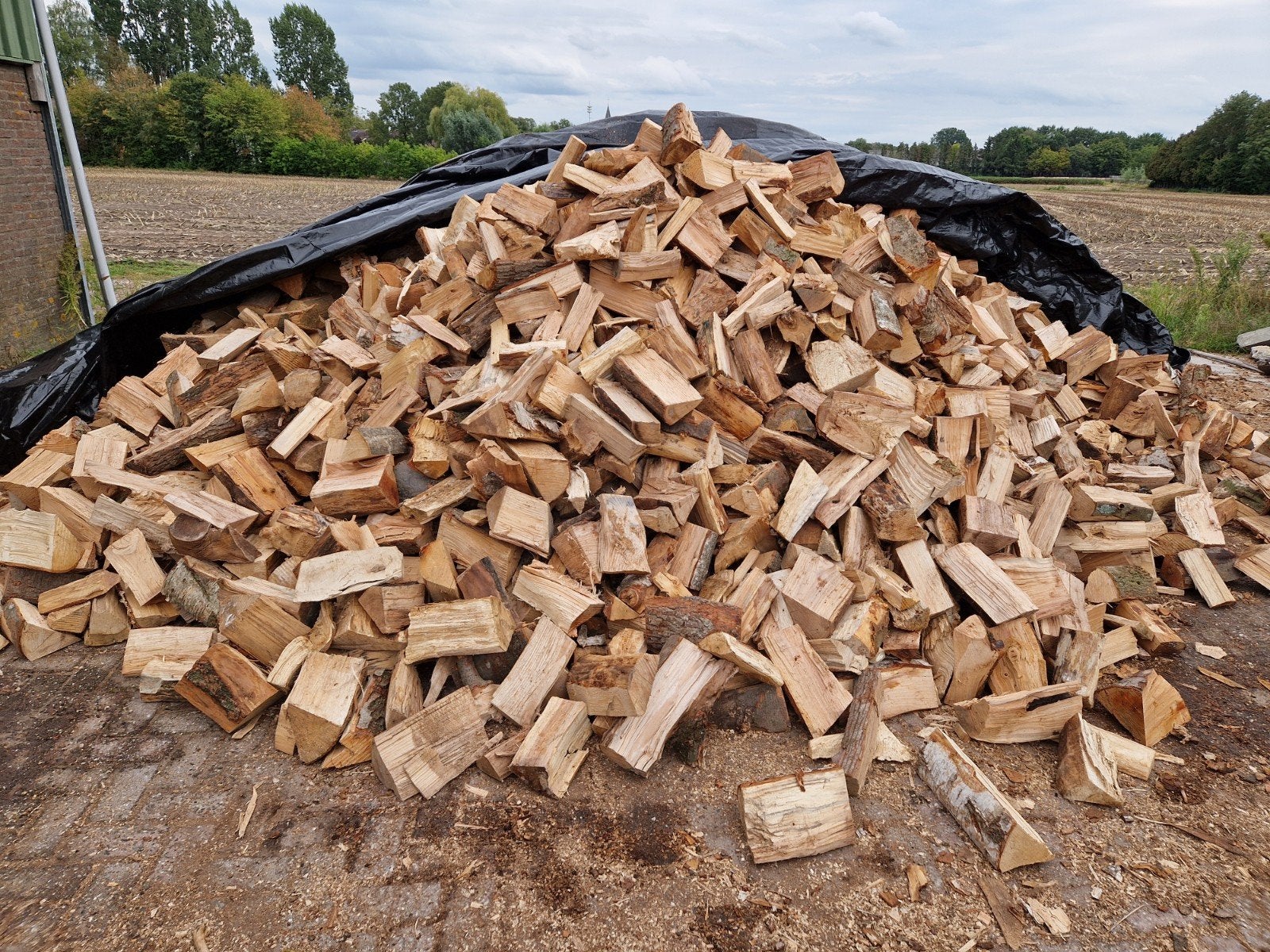 Brandhout mooie mix!, 6 m³ ou plus, Enlèvement, Autres essences de bois, Bûches
