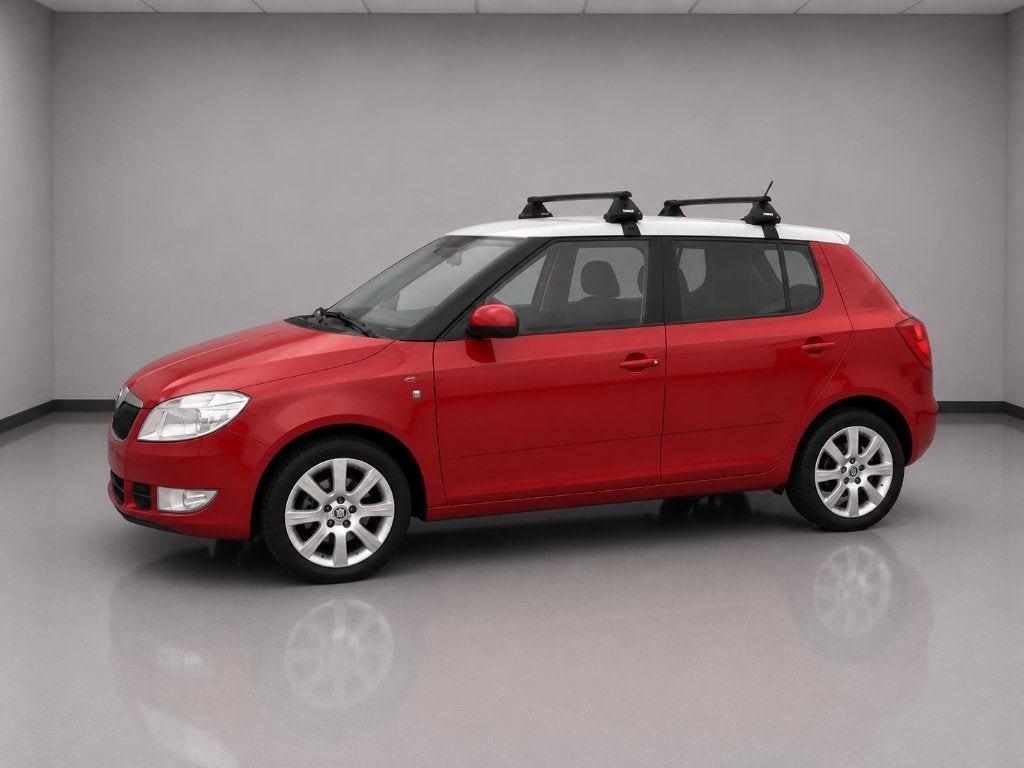SKODA FABIA, Rouge, Euro 5, Achat, Entreprise