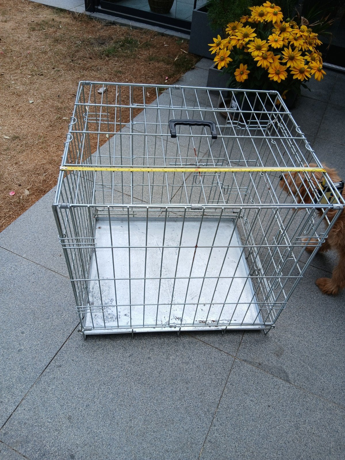 bench, Dieren en Toebehoren, Ophalen