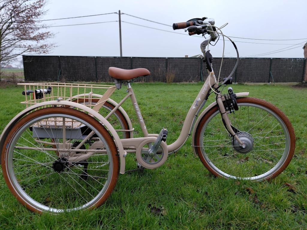 Elektrische fiets Papillon TRI-BIKE (driewieler) - NIEUW, Enlèvement, Neuf, Autres marques