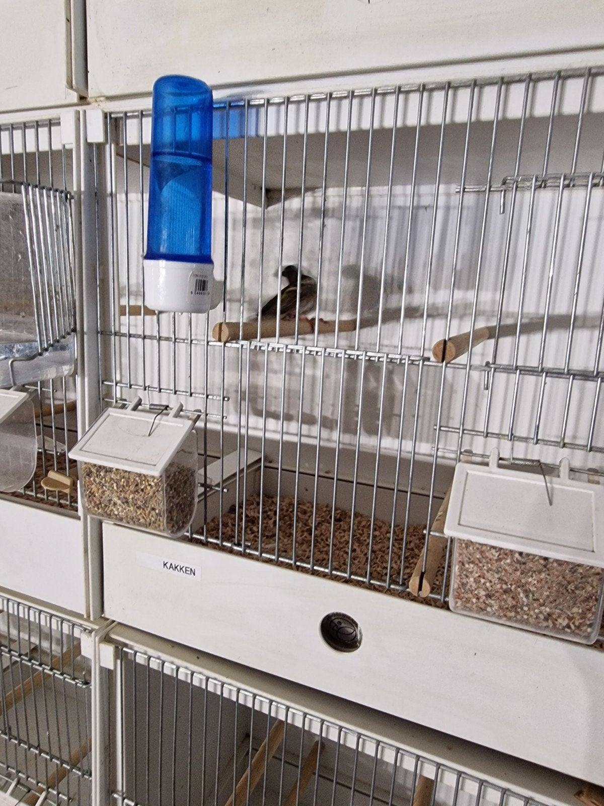 1vink man voor de kweek, Ophalen