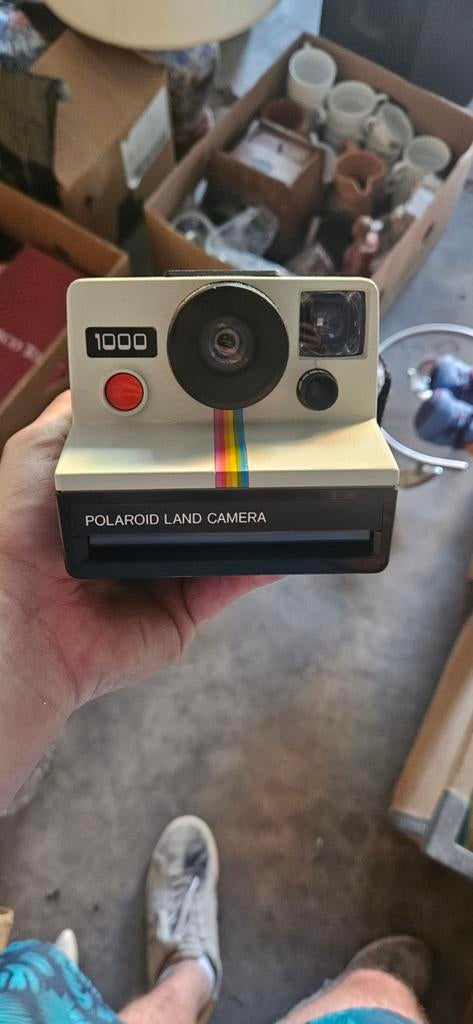 Polaroïd Land camera, Enlèvement