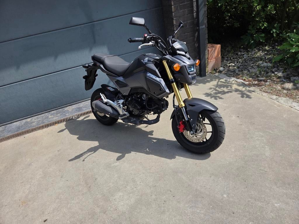 Honda msx 125cc, Particulier
