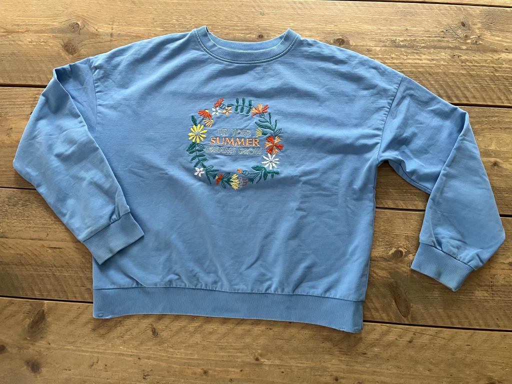 JBC (Fish & Chips), pull bleu clair 152, Enlèvement ou Envoi, JBC., Fille, Pull ou Veste