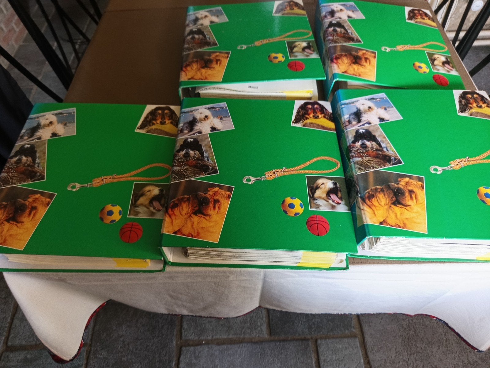 5 classeurs représentant toutes les races de chien, Enlèvement