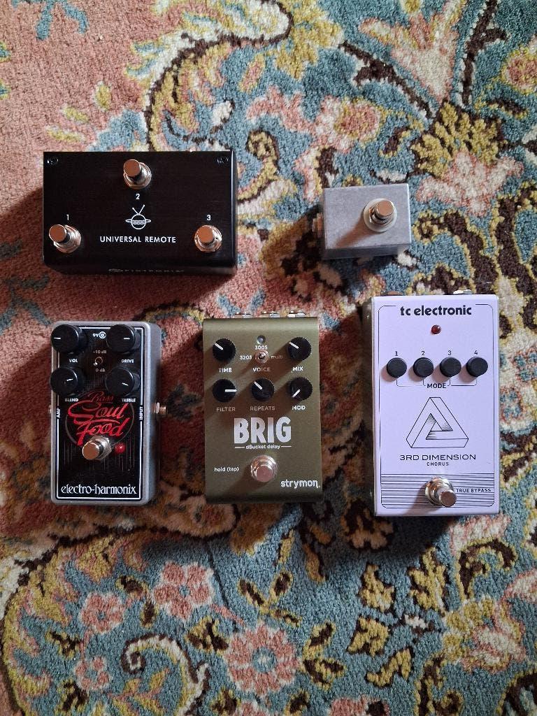 Strymon Brig, EHX Bass Soul Food, TCE 3rd Dimension,..., Ophalen of Verzenden, Delay of Echo