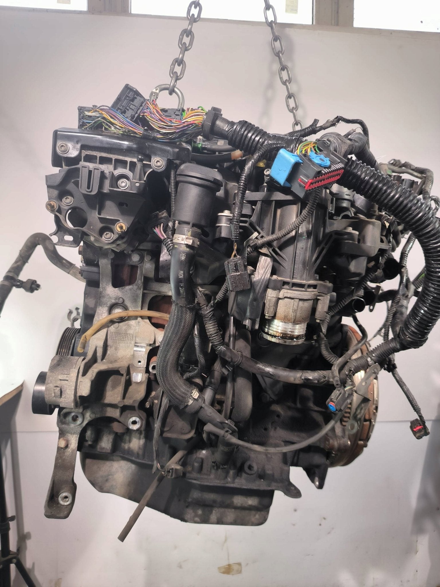 Moteur UFDB Complet FOCUS FORD, Envoi, Utilisé, Daihatsu