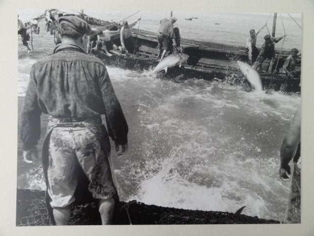 grande photographie (30x40 cm) de Raymond Van Der Plassche, Antiquités & Art, Art | Dessins & Photographie, Envoi, Photo, Photographie