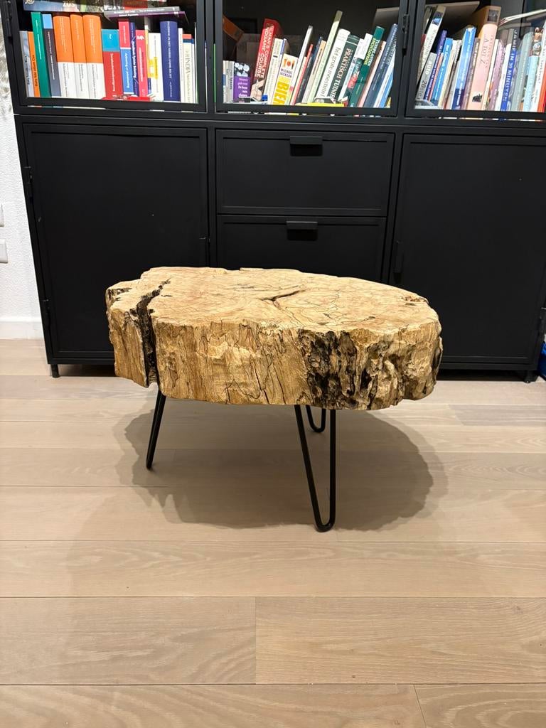 Boomstamtafel salontafel of bijzettafel, Ophalen, Zo goed als nieuw