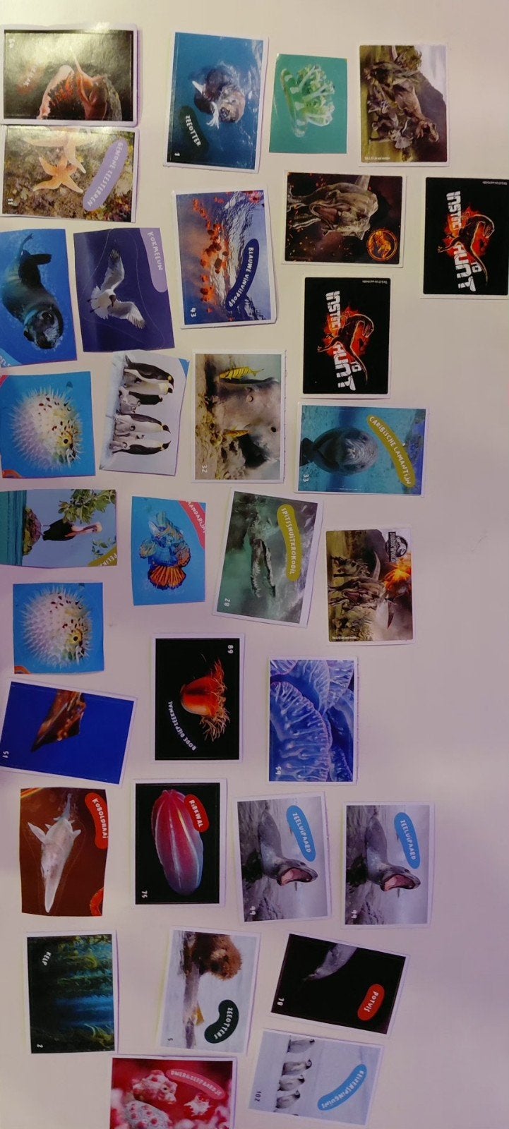 Stickers zeedieren en dinosaurussen, Ophalen