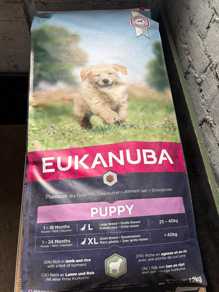 Eukanuba puppy brokken, Ophalen, Hond