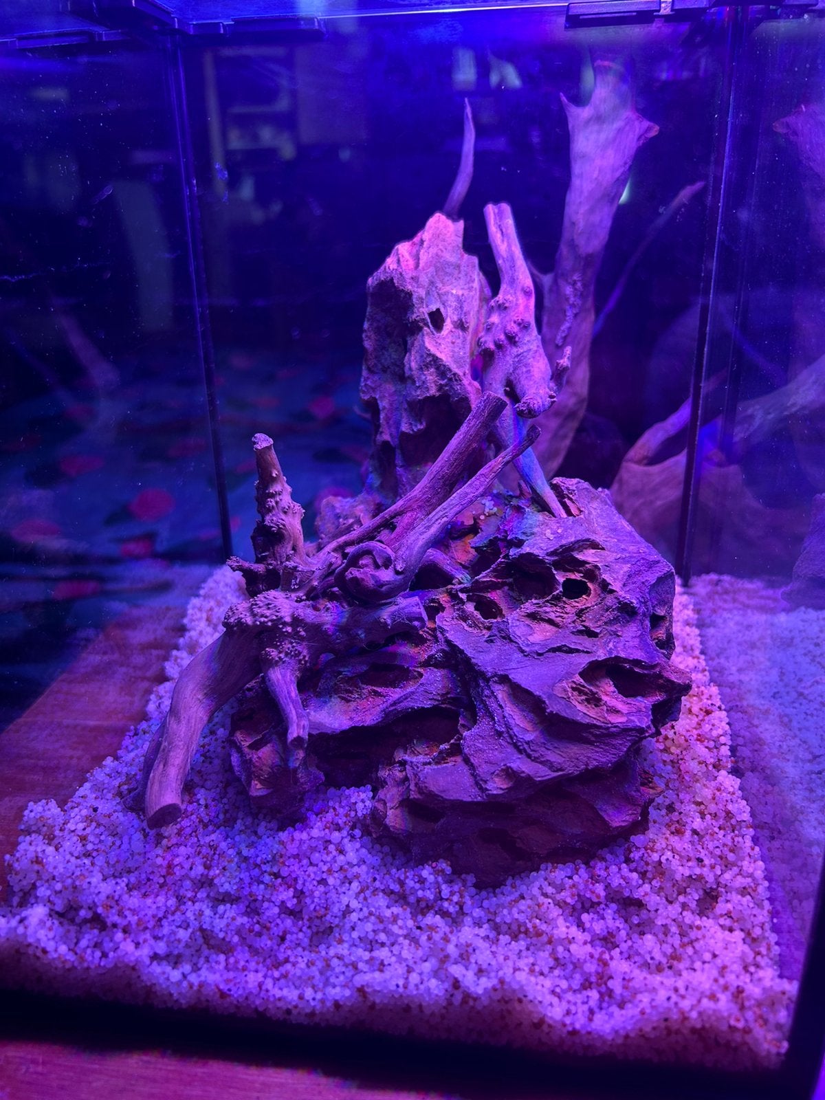 5 aquariums met toebehoren, Dieren en Toebehoren, Vissen | Aquaria en Toebehoren, Ophalen, Pomp, Zo goed als nieuw