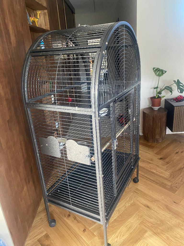 Cage perroquets et perruches, Animaux & Accessoires, Autres accessoires pour animaux, Comme neuf, Enlèvement