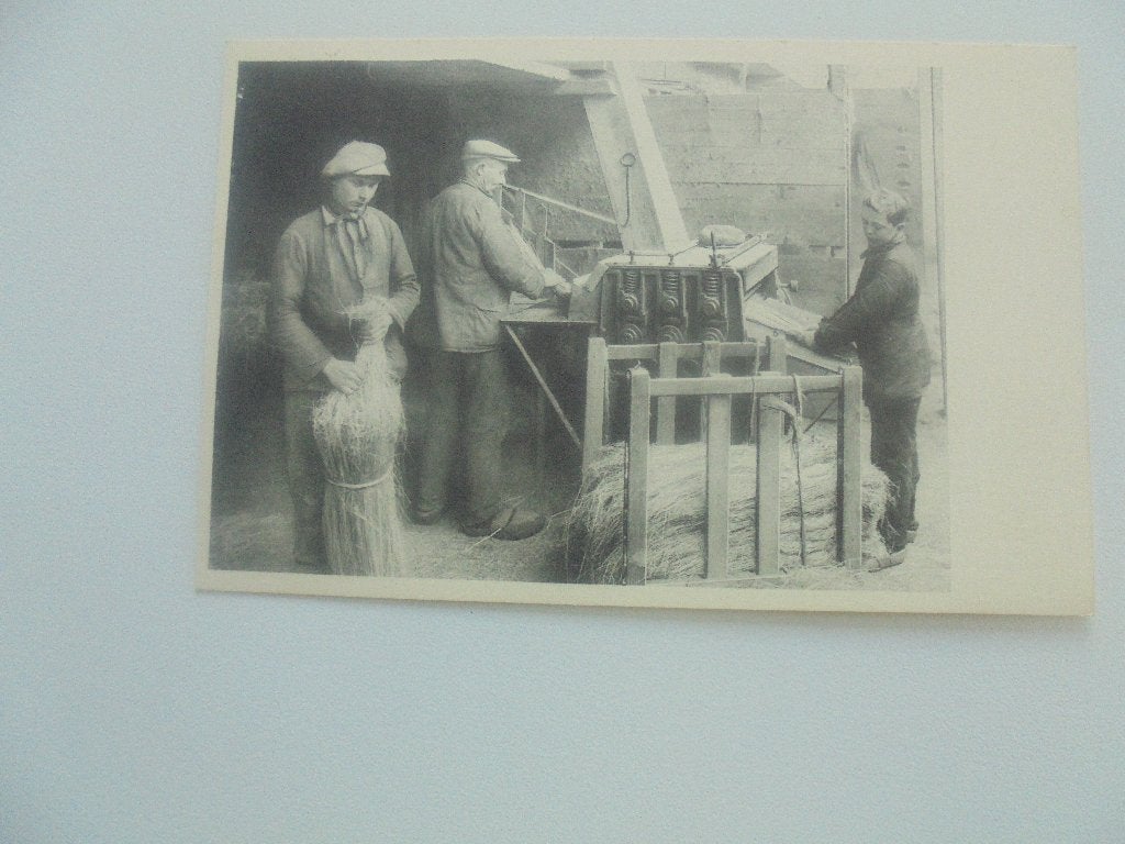vlasteelt- brakelen, Verzamelen, Postkaarten | België, Verzenden, 1920 tot 1940, Ongelopen, West-Vlaanderen