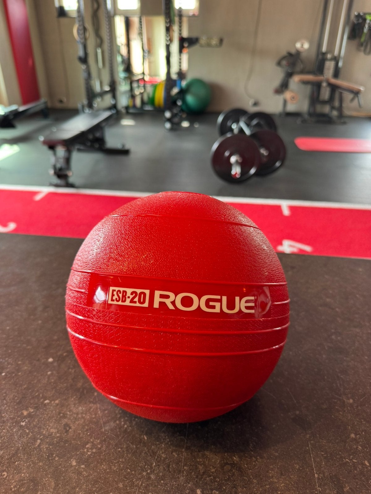 ROGUE ECHO SLAM BALL 20 LB, Sports & Fitness, Équipement de fitness, Enlèvement ou Envoi, Neuf, Médecine balle