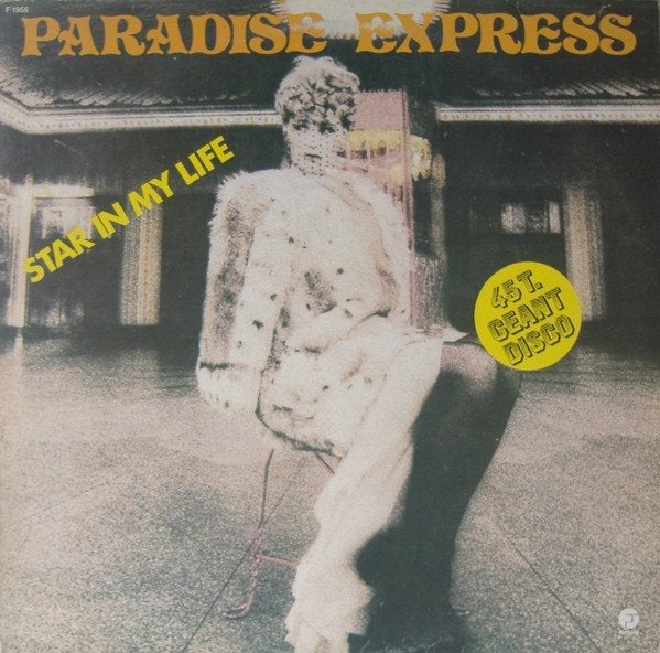 12inch PARADISE EXPRESS : Star In My Life, Cd's en Dvd's, Vinyl | Dance en House, Gebruikt, Fotohoes, Ophalen of Verzenden, Disco