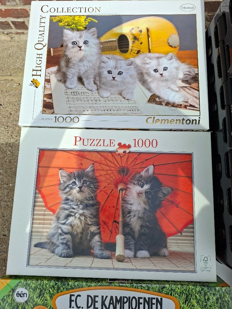 Puzzels katten - 1000st, Hobby en Vrije tijd, Ophalen, 500 t/m 1500 stukjes, Zo goed als nieuw, Legpuzzel