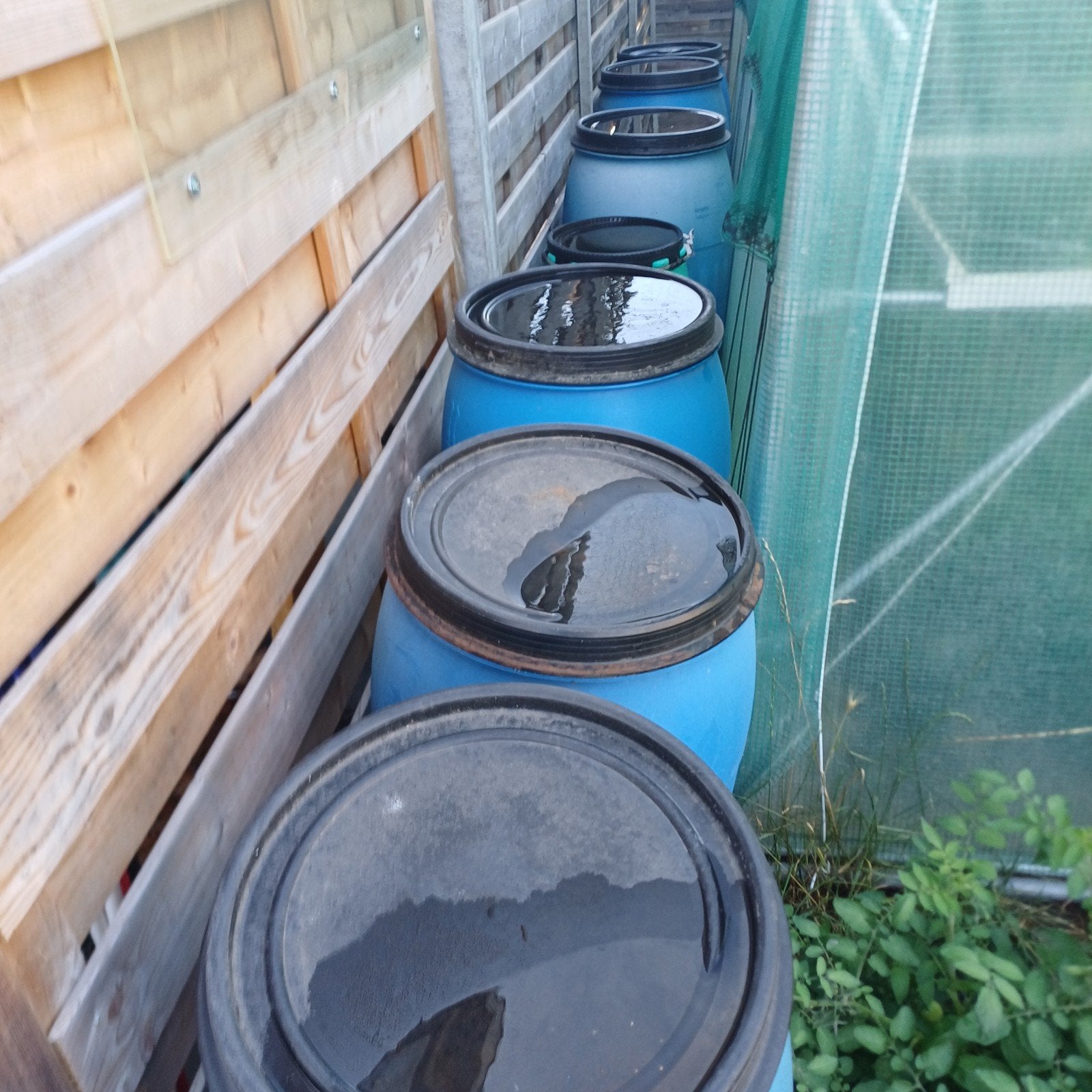 Regentonnen, Tuin en Terras, Ophalen