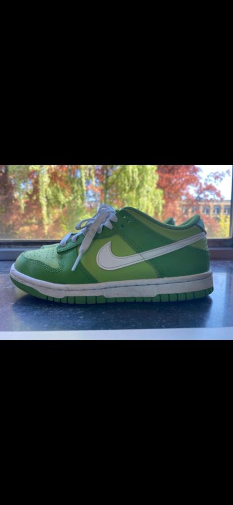 Groene dunk low, Vêtements | Hommes, Chaussures, Enlèvement ou Envoi, Autres couleurs, Nike, Porté