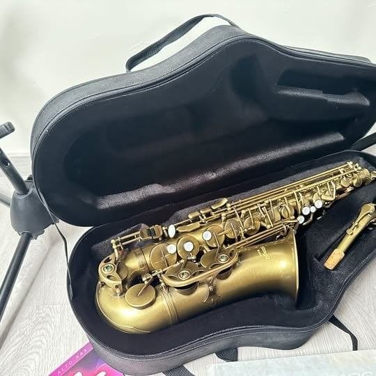 Stagg WS-AS218S altsaxofoon - Met veel extra's, Musique & Instruments, Enlèvement, Comme neuf, Alto, Avec valise