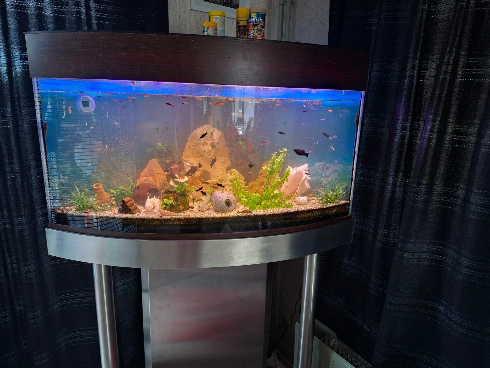 Een hoek aquarium van 70 lieter te koop, Dieren en Toebehoren