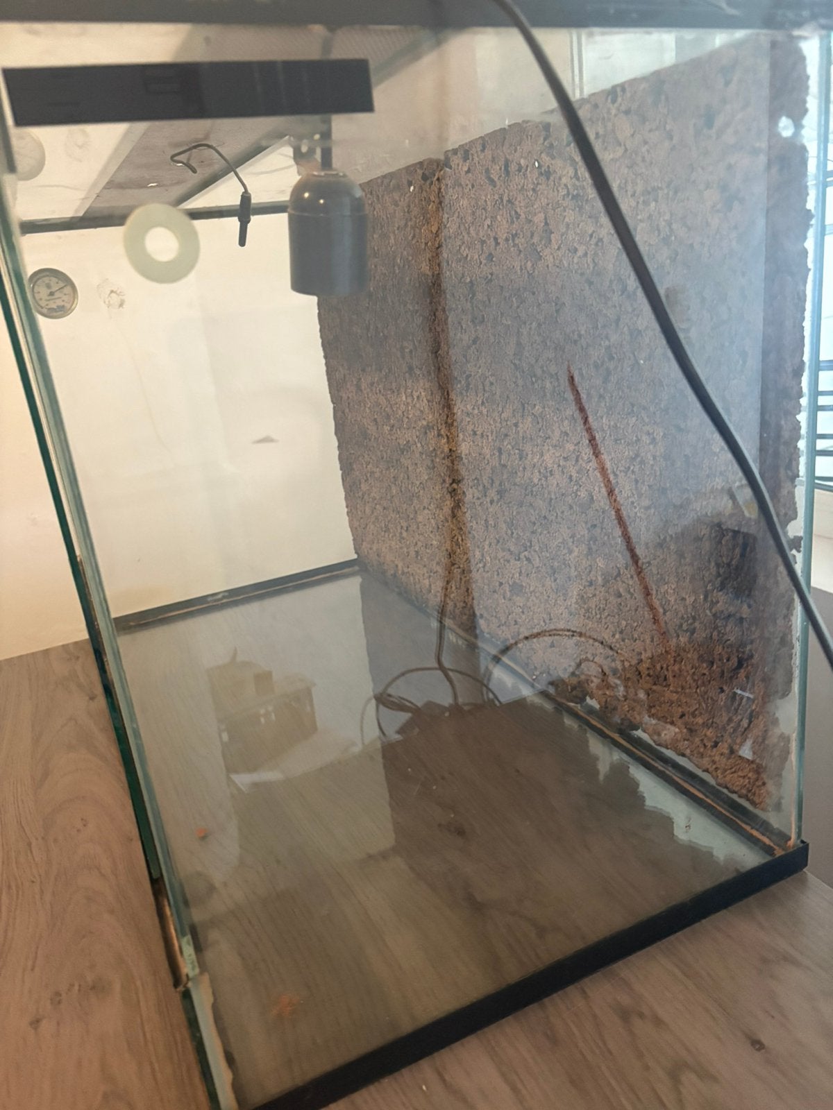 Terarium, Dieren en Toebehoren, Ophalen, Nieuw