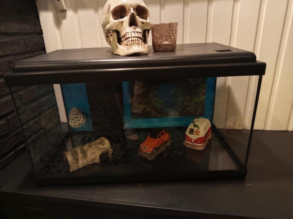Aquarium de 60 cm de long avec tous les accessoires inclus., Enlèvement