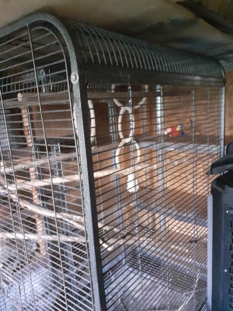 Vogel kooi voor papegaai of parkieten, Enlèvement, Utilisé, Métal, Cage à oiseaux