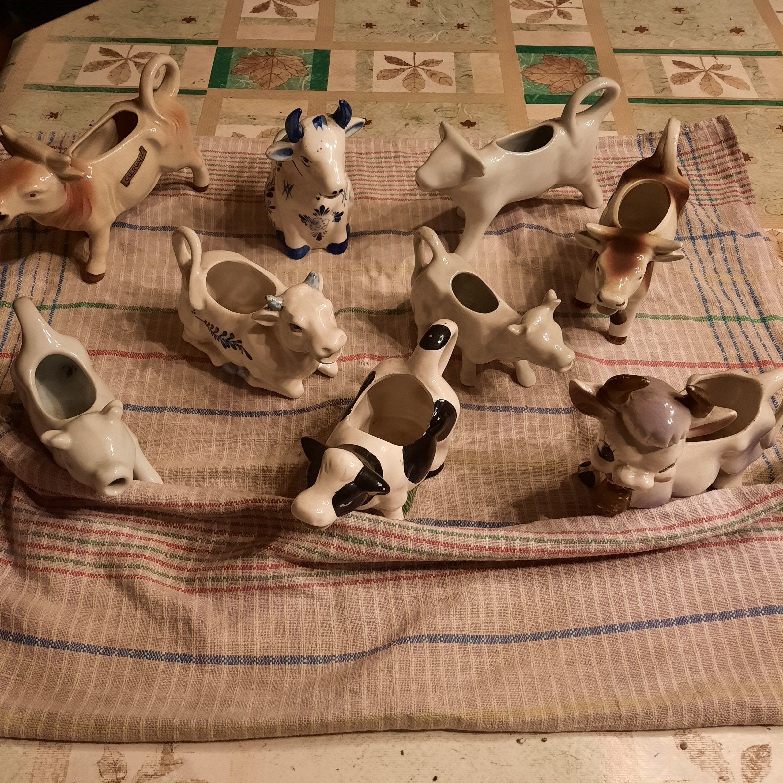 Melkkannetje  koetjes, Ophalen