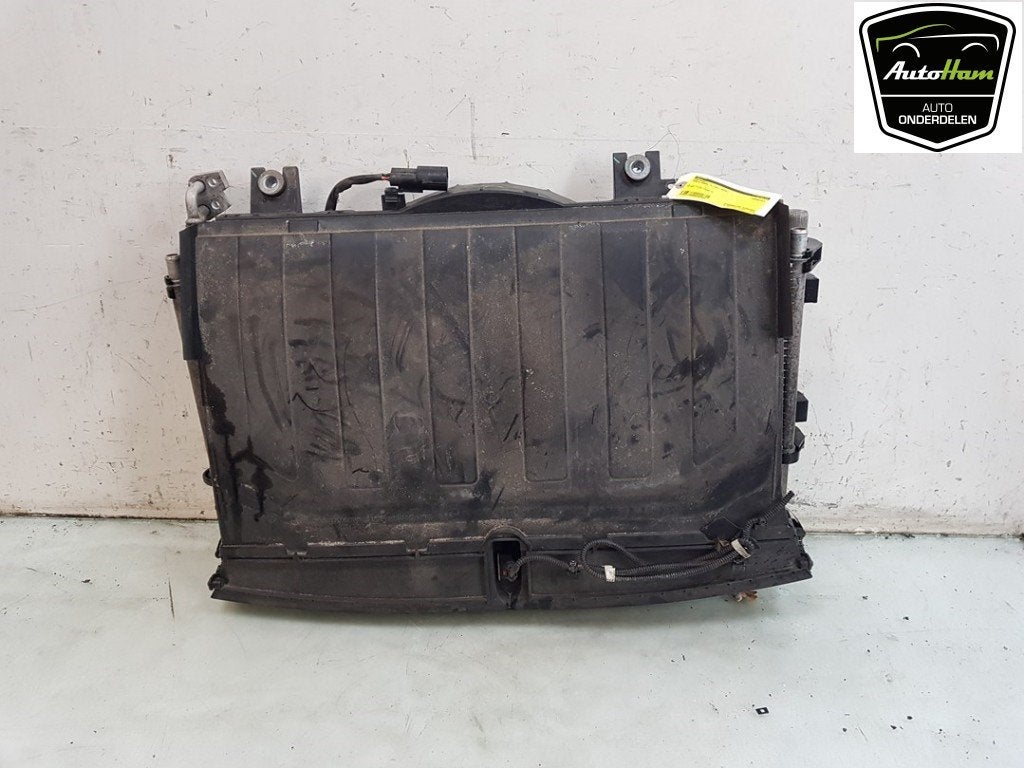 RADIATEUR COMPLET (|104849900C|104849800C|104850000F|1115613, Dhr. J. Ham, Administratie@autoham.nl, Utilisé, Autres marques automobiles