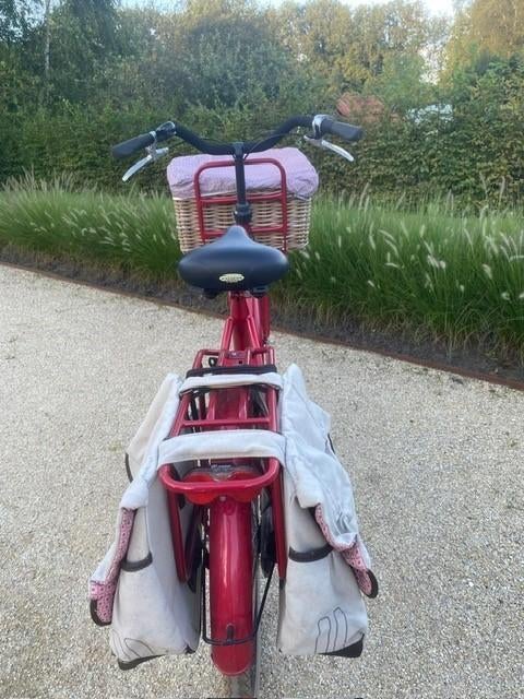 DAMESFIETS BATAVUS MET MANDJE BASIL EN FIETSZAKKEN, Ophalen, Zo goed als nieuw, Batavus