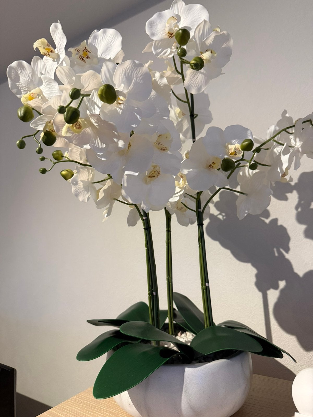 Plante orchidee (en plastique), Maison & Meubles, Enlèvement, Neuf