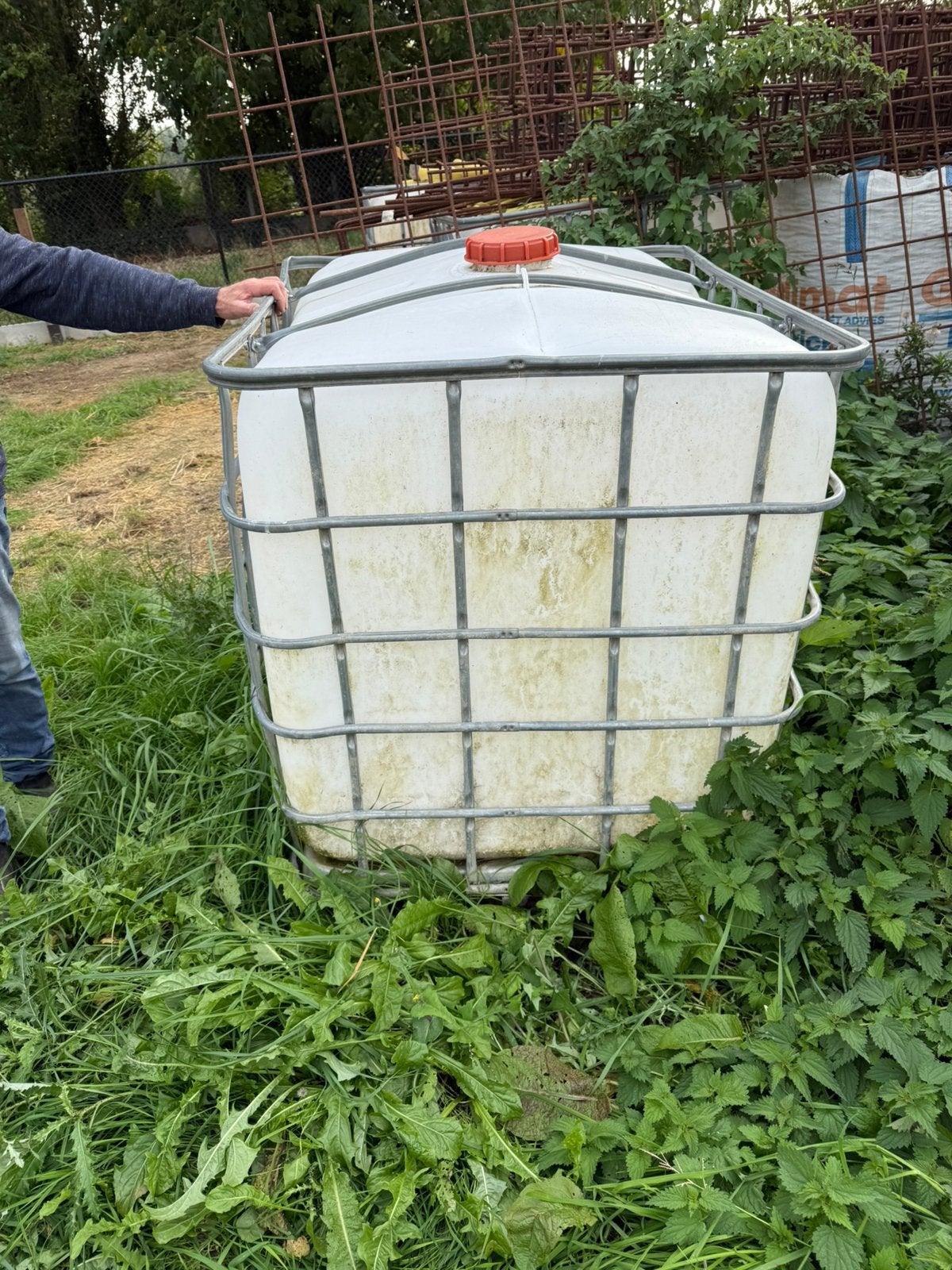 IBC- tank 1000L, 150 liter of meer, Ophalen, Gebruikt, Kunststof