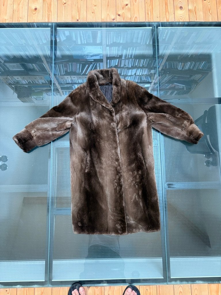 Manteau en fourrure Castor, Vêtements | Femmes, Vestes | Hiver, Taille 38/40 (M), Enlèvement ou Envoi, Brun, Porté