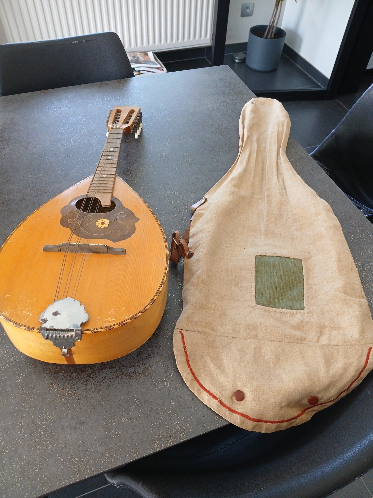 snaarinstrument met overtrekhoes, Musique & Instruments, Enlèvement ou Envoi