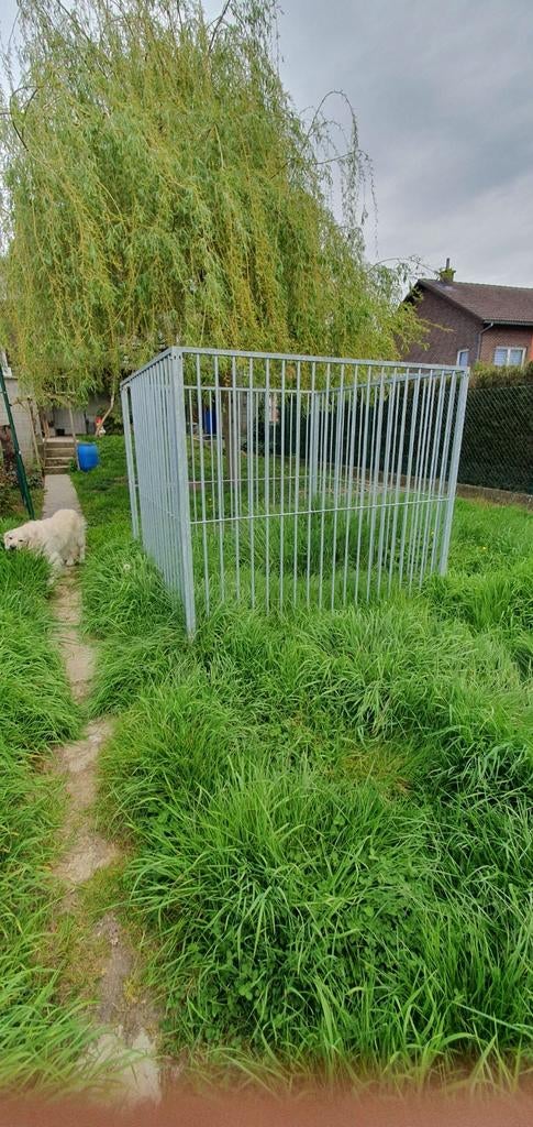 Hondenren, Dieren en Toebehoren, Ophalen