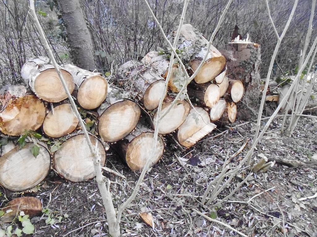 brand hout, Doe-het-zelf en Bouw, Ophalen, Gebruikt, Grenen