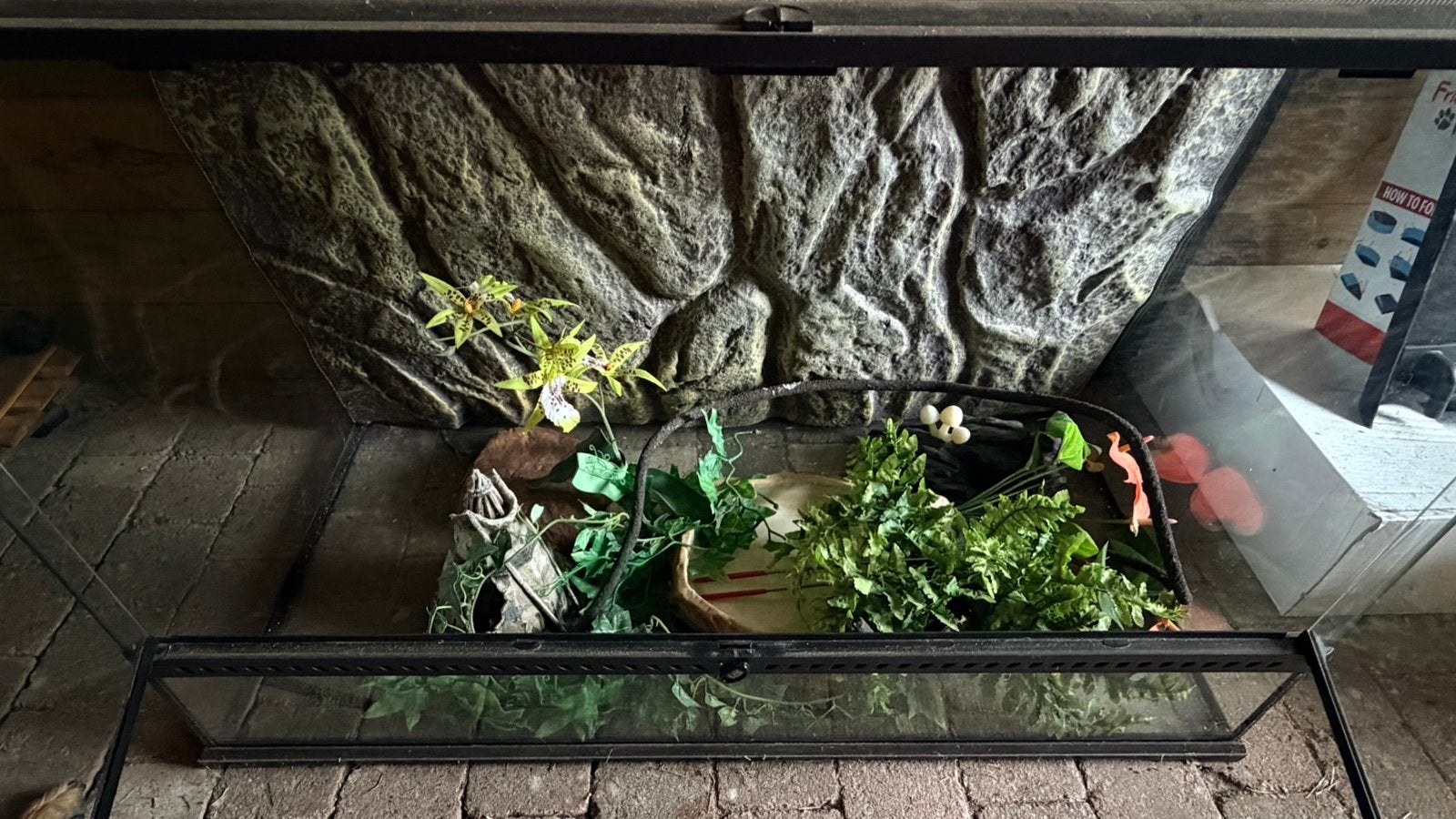 Terrarium, Dieren en Toebehoren, Reptielen en Amfibieën | Toebehoren, Ophalen, Zo goed als nieuw