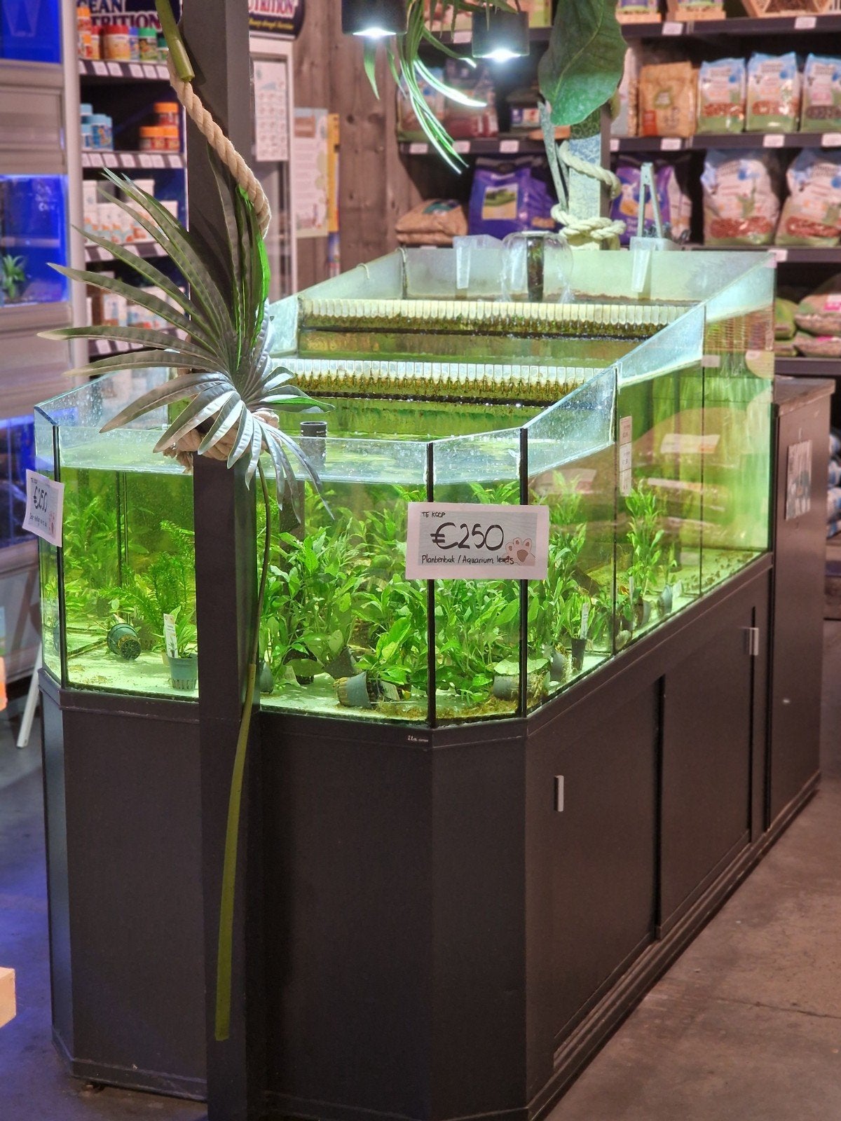 Visbak plantenbak aquarium waterval, Ophalen, Pomp, Gebruikt, Gevuld zoetwateraquarium