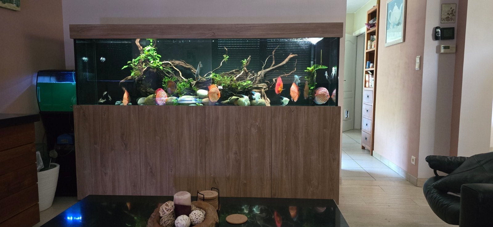 Volledig ingericht aquarium AQUALIFE met of zonder vissen., Dieren en Toebehoren, Ophalen, Inclusief deksel, Zo goed als nieuw