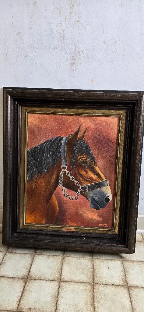 Schilderij Ceuppens Jan - Paardenkop, Ophalen